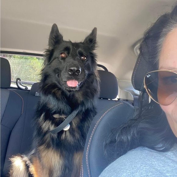 Meet your Posher, Stephanie - Picture 16 of 16